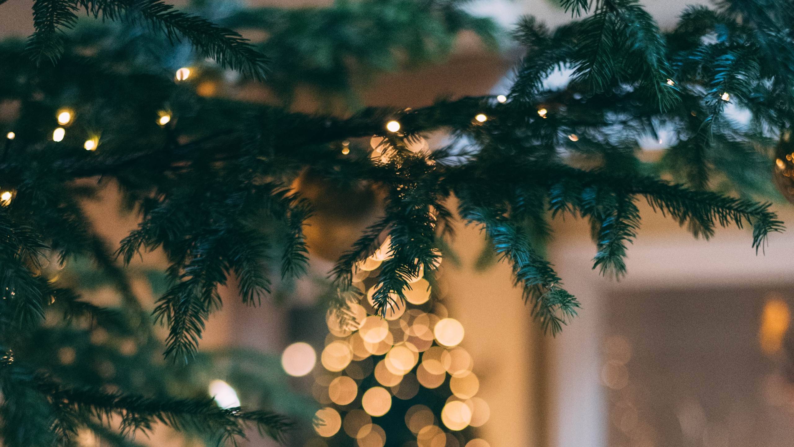 Hotel-Anahi-Roma-Sfondi-Natale-1